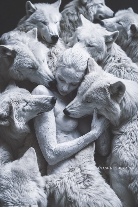 Sherdin Art - Sasha Sherdin