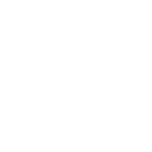 Sherdin-Logo